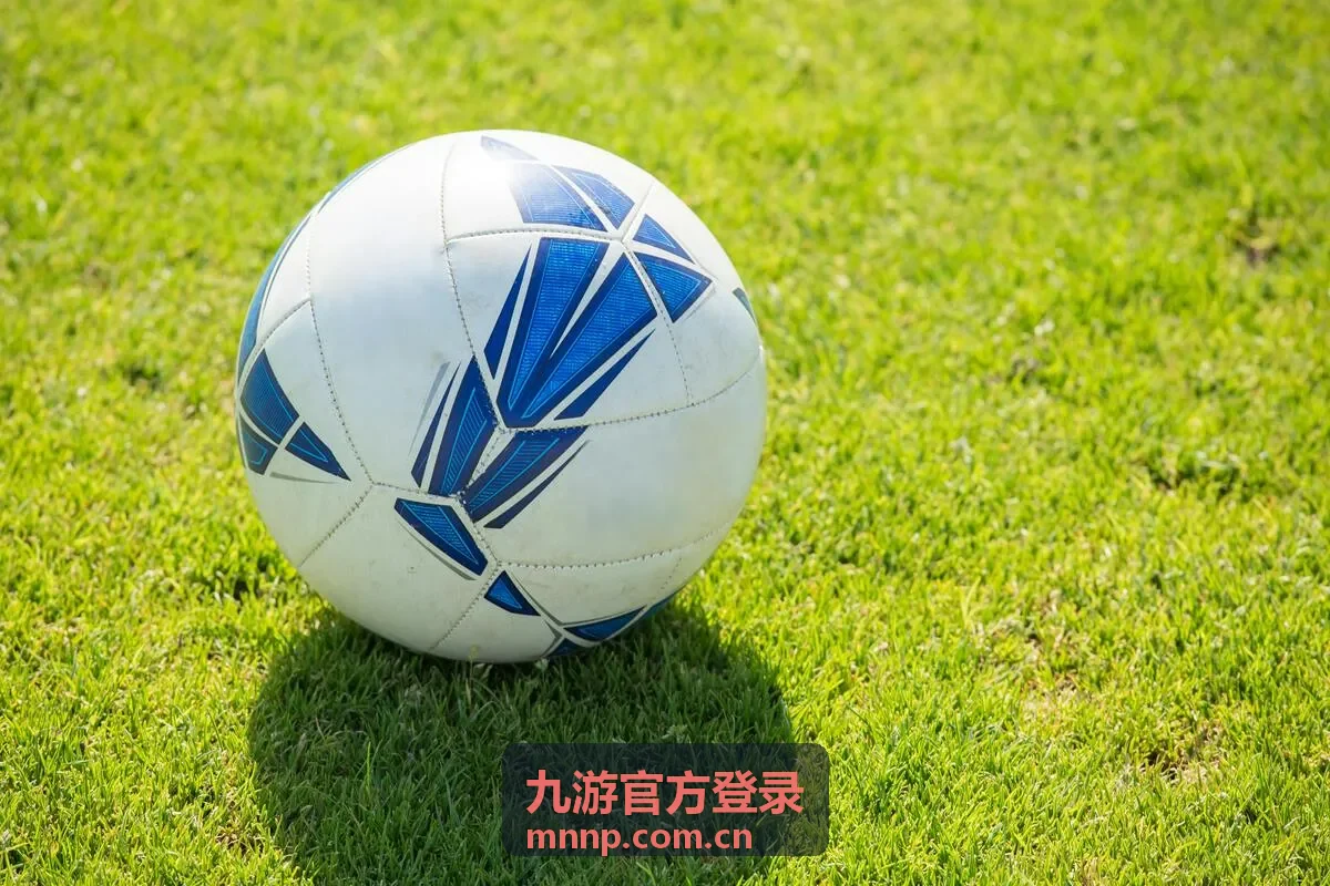 九游官方登录更换设备后的验证提示图